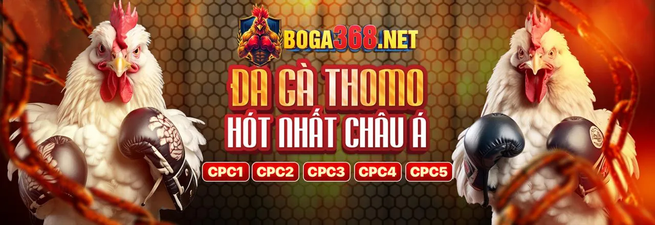 Sân vận động đầy ắp với ánh đèn rực rỡ và các cầu thủ đang thi đấu, biểu tượng cho cá cược thể thao sôi động tại xx88a